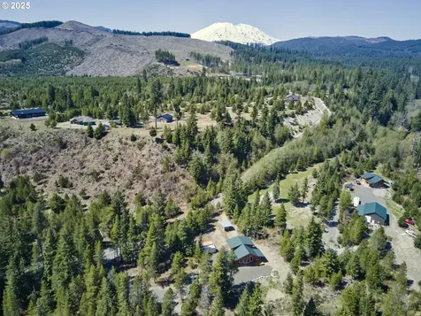 192 Sasquatch Way Cougar WA 98616