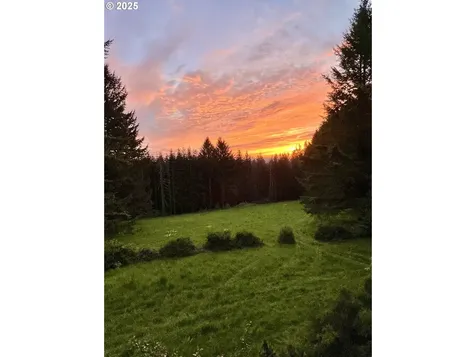 21075 NE Turner Lane Hillsboro OR 97123