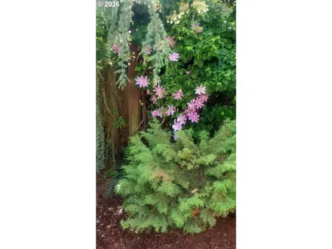 16073 SE Pinot Road Milwaukie OR 97267