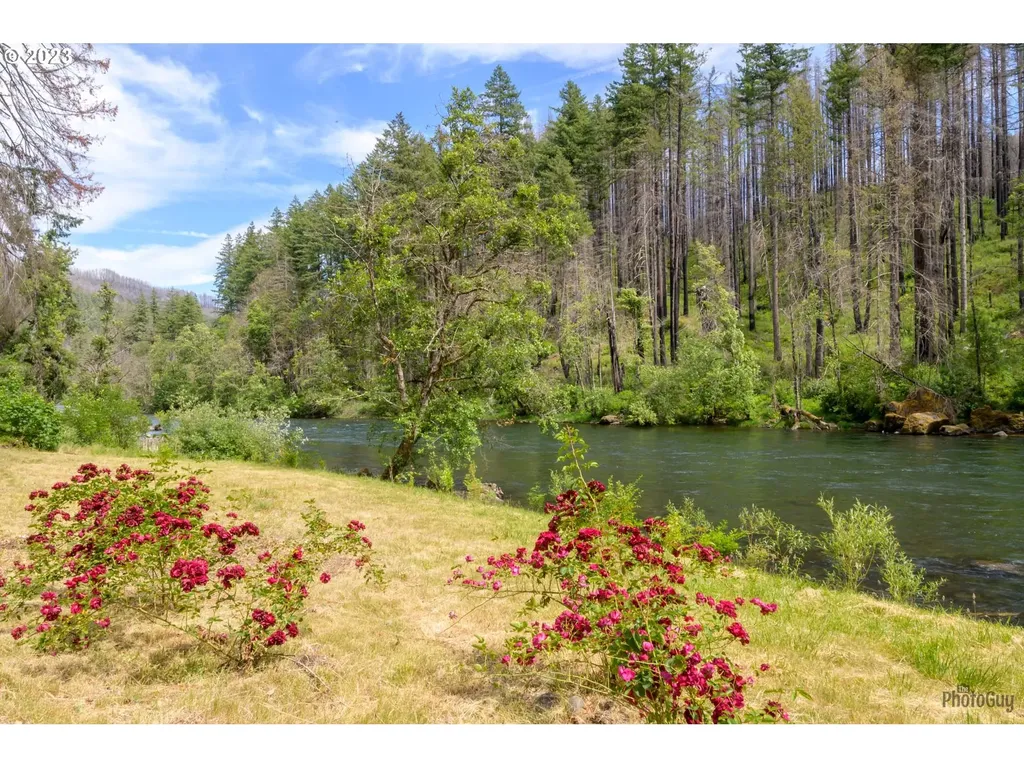 47664 Mckenzie Highway Vida OR 97488