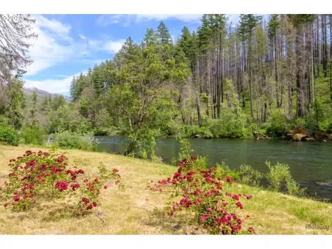 47664 Mckenzie Highway Vida OR 97488