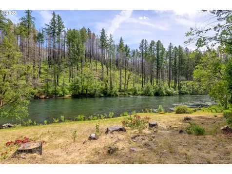 47664 Mckenzie Highway Vida OR 97488