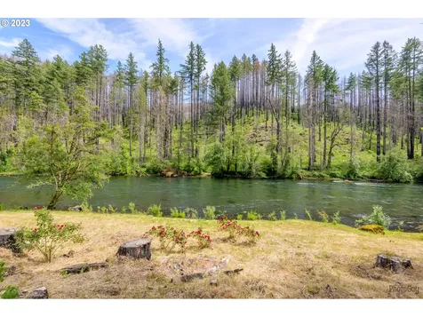47664 Mckenzie Highway Vida OR 97488
