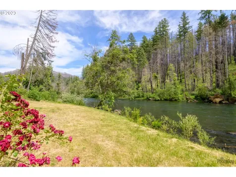 47664 Mckenzie Highway Vida OR 97488