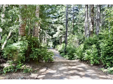 42065 Vista Drive Port Orford OR 97465