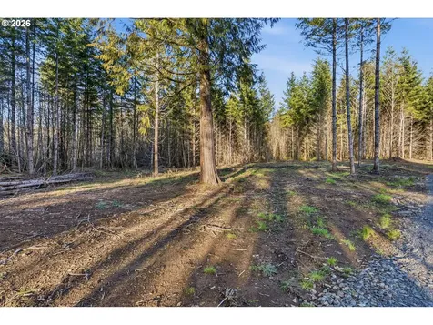232 Durins Place Castle Rock WA 98611