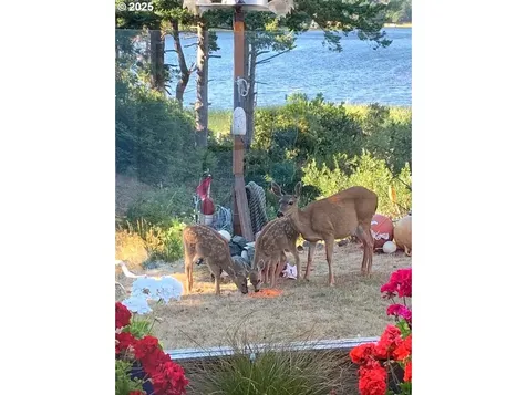 850 Lakeshore Drive Port Orford OR 97465