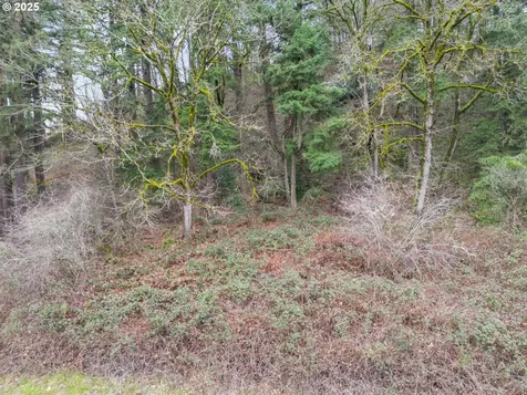 0 57th Street Washougal WA 98671