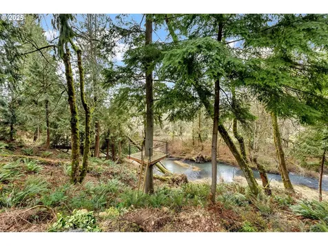 17816 NE Homestead Drive Brush Prairie WA 98606