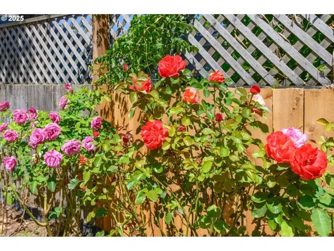 5824 NE 42nd Avenue Portland OR 97218