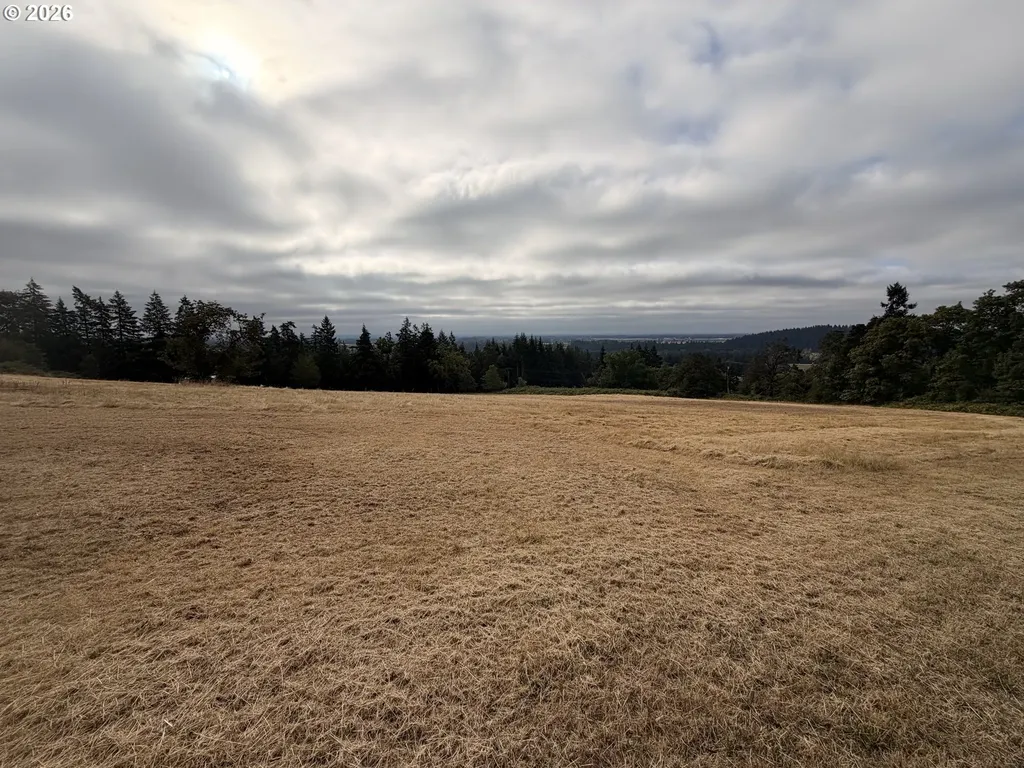 SW Kramien Road Newberg OR 97132