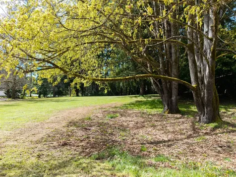 18593 Alsea Highway Alsea OR 97324