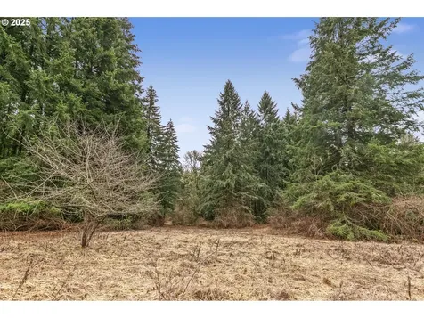 16303 NE 259th Street Battle Ground WA 98604