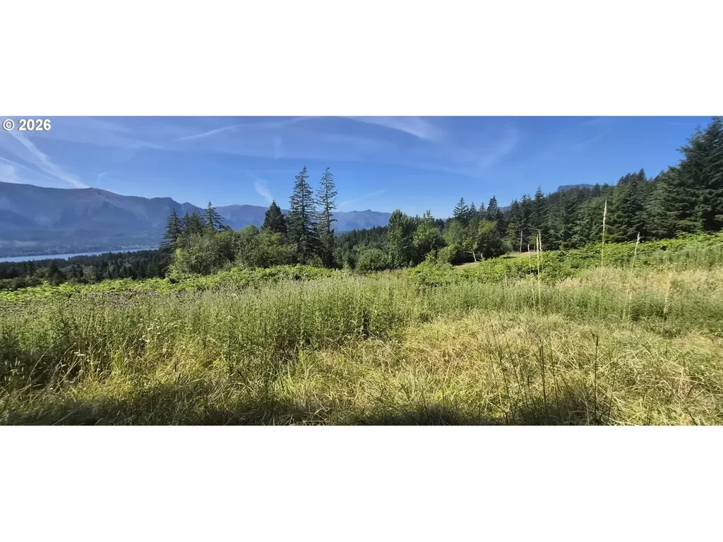 1811 E Loop Road Stevenson WA 98648