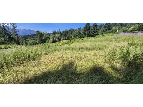 1811 E Loop Road Stevenson WA 98648