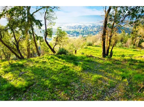 0 Black Oak Drive Roseburg OR 97471