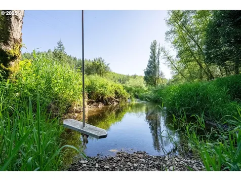 99996 Lone Pine Lane Myrtle Point OR 97458