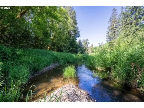 99996 Lone Pine Lane Myrtle Point OR 97458