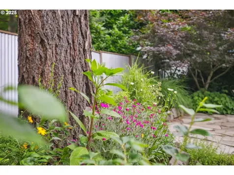 2358 SE 53rd Avenue Portland OR 97215