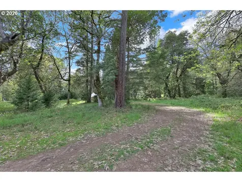 544 Lou Gray Drive Myrtle Creek OR 97457