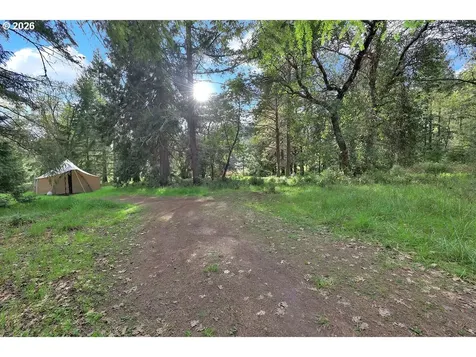 544 Lou Gray Drive Myrtle Creek OR 97457