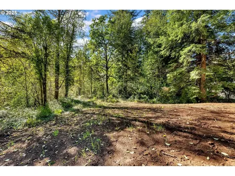 36413 NE 267th Street Yacolt WA 98675
