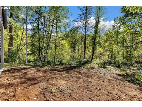 36413 NE 267th Street Yacolt WA 98675