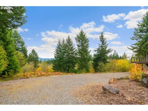 7311 NE 317th Place Camas WA 98607