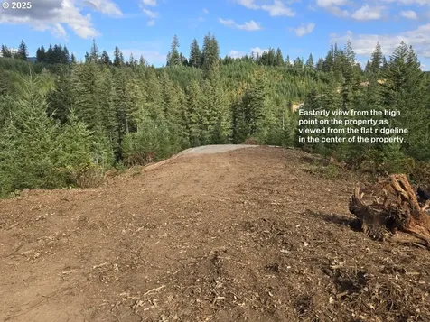 1051 Skamania Mines Road Washougal WA 98671