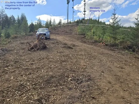 1051 Skamania Mines Road Washougal WA 98671