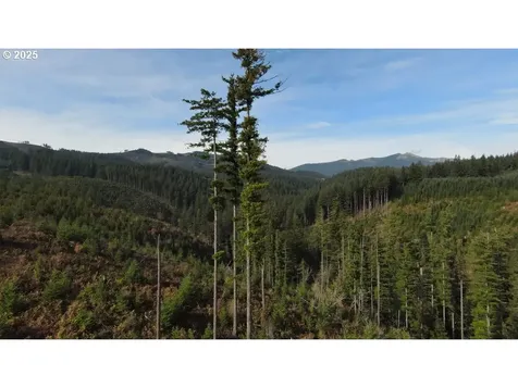 1051 Skamania Mines Road Washougal WA 98671