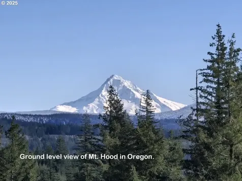 1051 Skamania Mines Road Washougal WA 98671