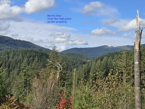 1051 Skamania Mines Road Washougal WA 98671