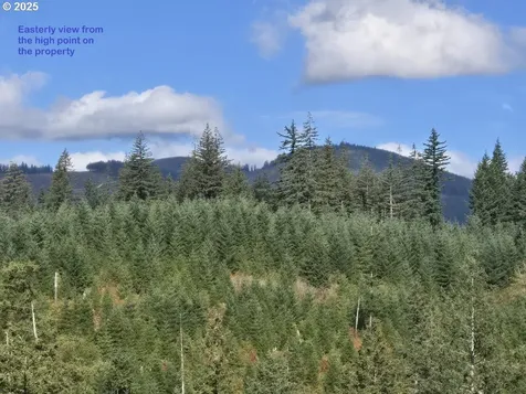 1051 Skamania Mines Road Washougal WA 98671