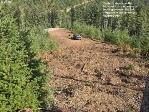 1051 Skamania Mines Road Washougal WA 98671