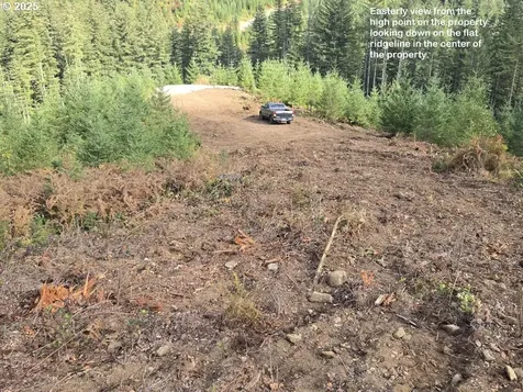 1051 Skamania Mines Road Washougal WA 98671