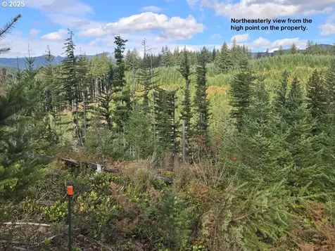 1051 Skamania Mines Road Washougal WA 98671