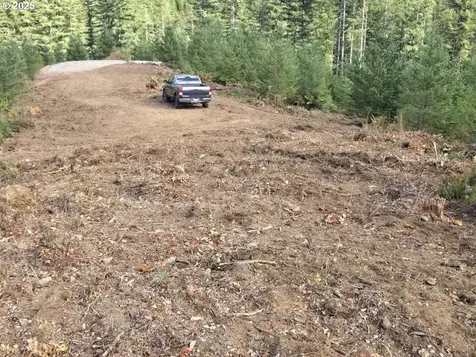 1051 Skamania Mines Road Washougal WA 98671