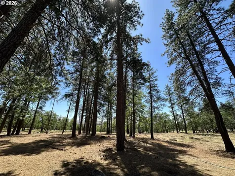 91 Rimrock Road Goldendale WA 98620