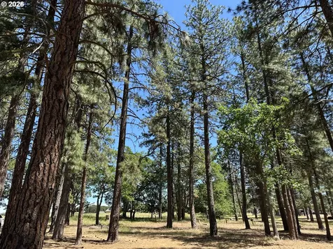 91 Rimrock Road Goldendale WA 98620