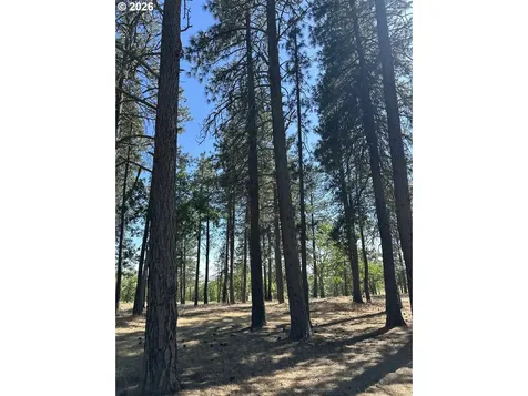 91 Rimrock Road Goldendale WA 98620