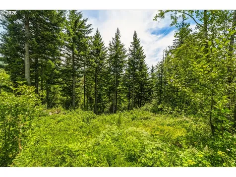 321 Helens Lane Washougal WA 98671