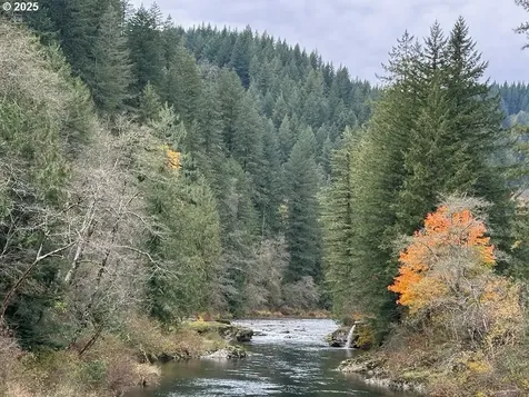 101 Carlton Road Washougal WA 98671