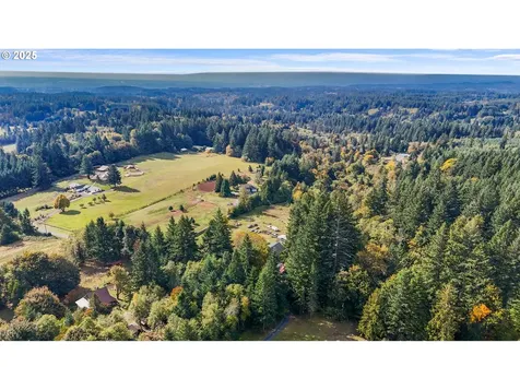 39812 NE 94th Avenue La Center WA 98629