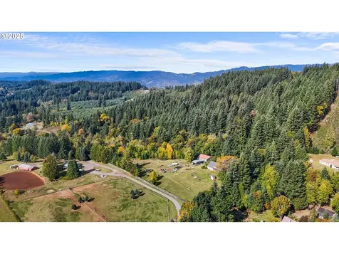 39812 NE 94th Avenue La Center WA 98629