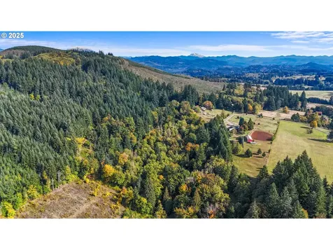 39812 NE 94th Avenue La Center WA 98629