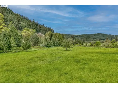 99554 Lone Pine Lane Myrtle Point OR 97458