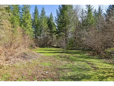 81 Wind Crest Road Carson WA 98610