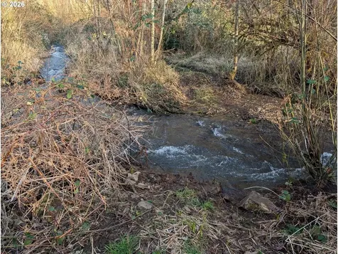 23009 NE Dole Valley Road Yacolt WA 98675