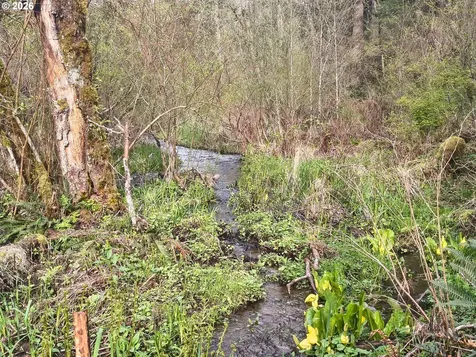 23009 NE Dole Valley Road Yacolt WA 98675